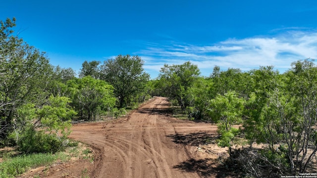 13704 Ladd Rd, Atascosa, TX 78002