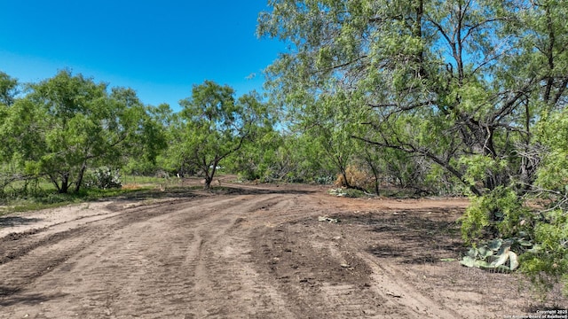 13704 Ladd Rd, Atascosa, TX 78002