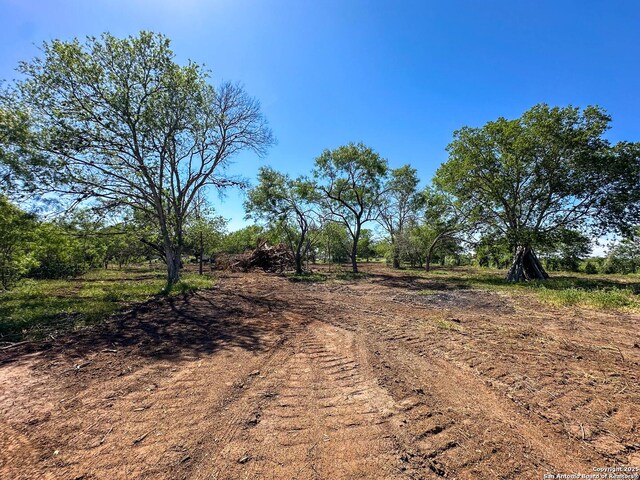 13704 Ladd Rd, Atascosa, TX 78002