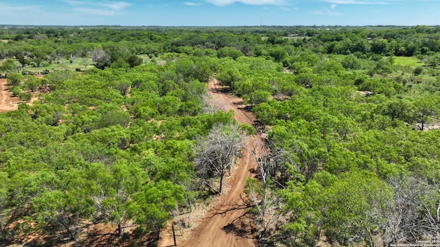 13704 Ladd Rd, Atascosa, TX 78002
