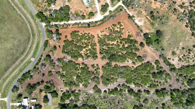 13704 Ladd Rd, Atascosa, TX 78002