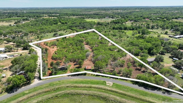 13704 Ladd Rd, Atascosa, TX 78002