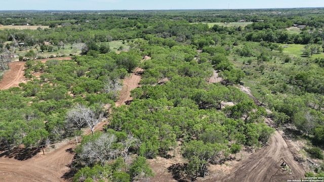 13704 Ladd Rd, Atascosa, TX 78002