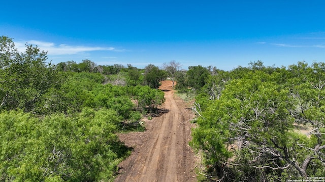 13704 Ladd Rd, Atascosa, TX 78002