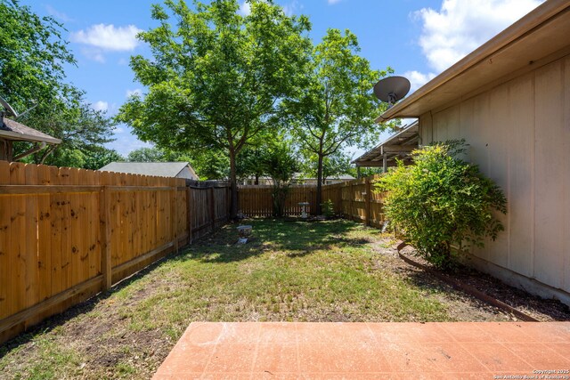 12138 W Lemon Blossom, San Antonio, TX 78247 - view of yard