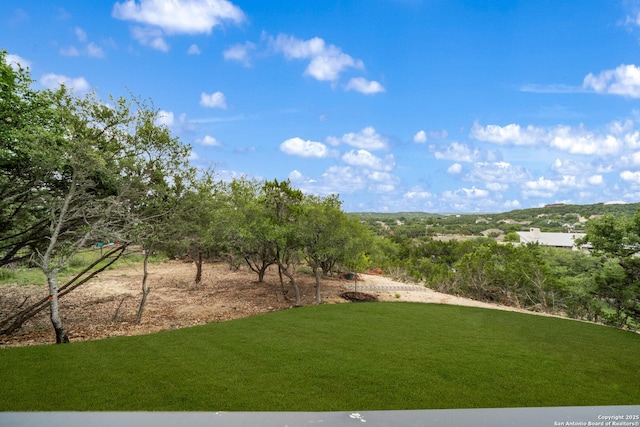 25822 Mount Carillon, San Antonio, TX 78260 - view of grassy yard