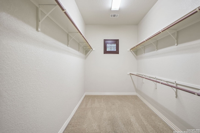 19015 Seminole Pass, Garden Ridge, TX 78266 - walk in closet featuring carpet floors