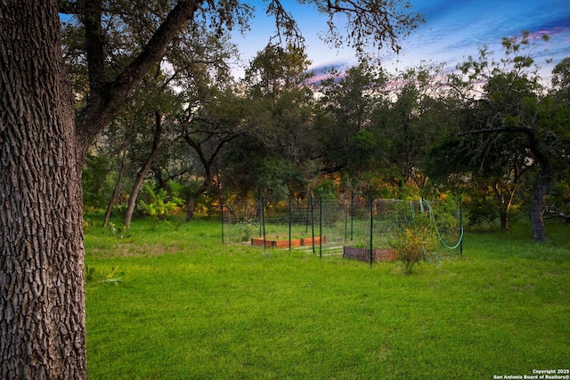 19015 Seminole Pass, Garden Ridge, TX 78266 - view of green lawn featuring a garden