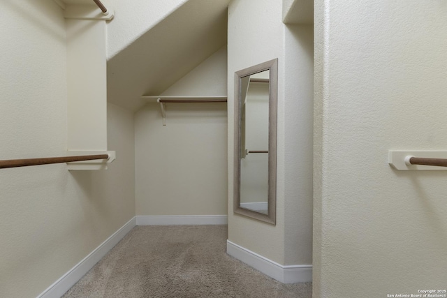 212 Leather Leaf, Boerne, TX 78006 - walk in closet with vaulted ceiling and carpet floors
