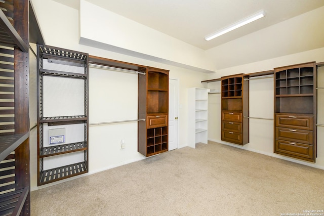 spacious closet featuring carpet flooring and vaulted ceiling