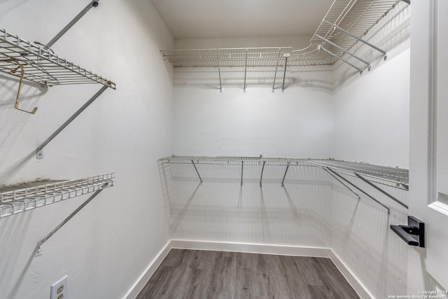 827 Ware Blvd, San Antonio, TX 78214 - spacious closet featuring dark wood finished floors