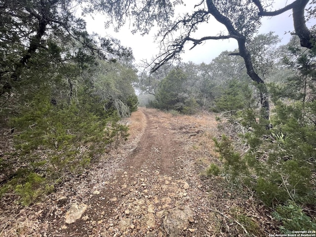 0 E Ammann Rd, Bulverde, TX 78163