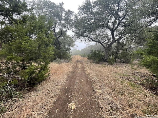 0 E Ammann Rd, Bulverde, TX 78163