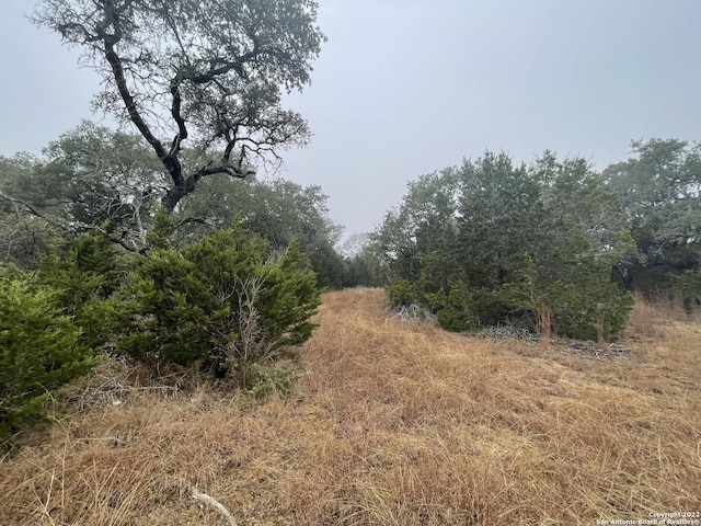 0 E Ammann Rd, Bulverde, TX 78163