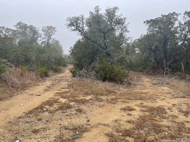 0 E Ammann Rd, Bulverde, TX 78163