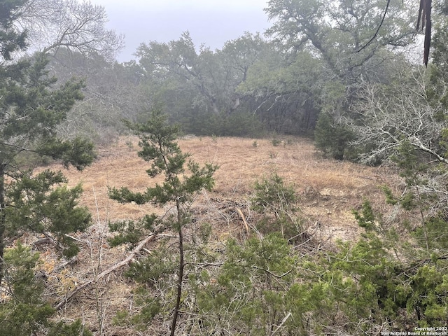 0 E Ammann Rd, Bulverde, TX 78163