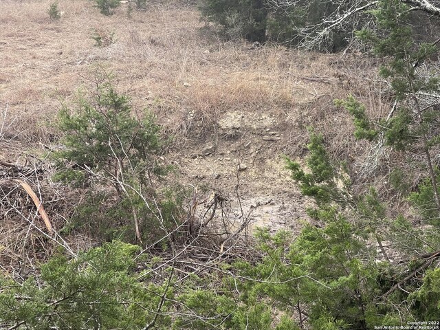 0 E Ammann Rd, Bulverde, TX 78163