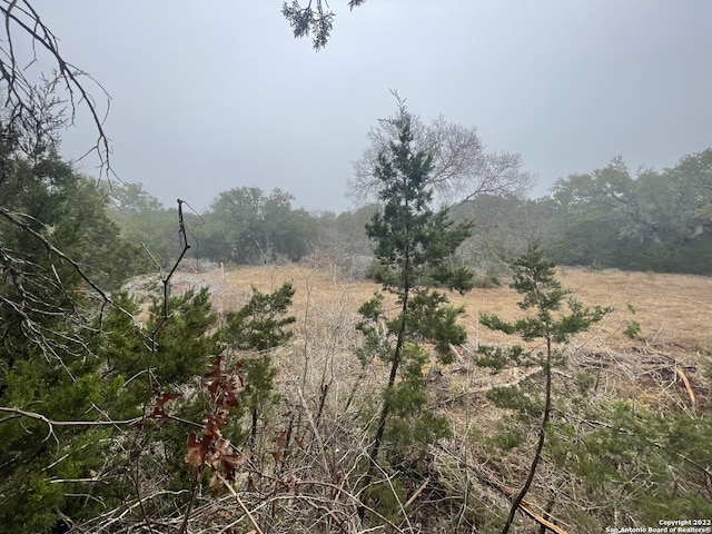 0 E Ammann Rd, Bulverde, TX 78163