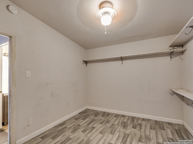 4330 Kilrea, San Antonio, TX 78219 - spacious closet with light wood-type flooring