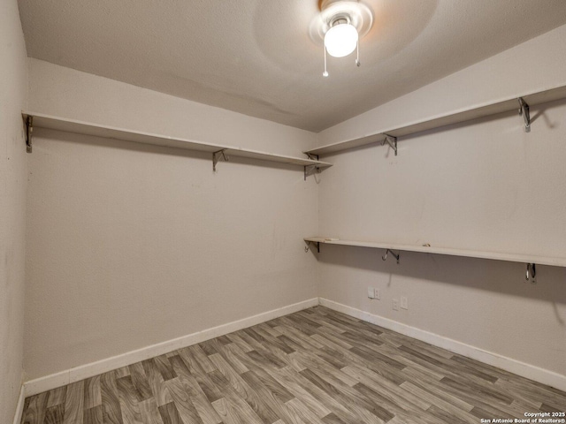 4330 Kilrea, San Antonio, TX 78219 - walk in closet featuring wood finished floors and ceiling fan