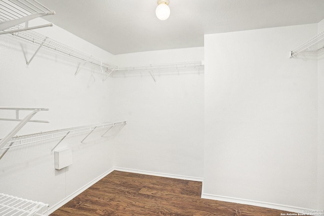 135 Blue Juniper, San Antonio, TX 78253 - spacious closet featuring dark wood-style flooring