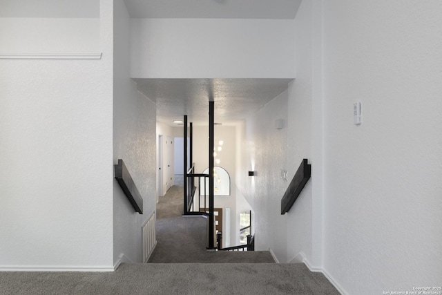 16726 Burning Glade, San Antonio, TX 78247 - stairway with carpet flooring and a textured wall