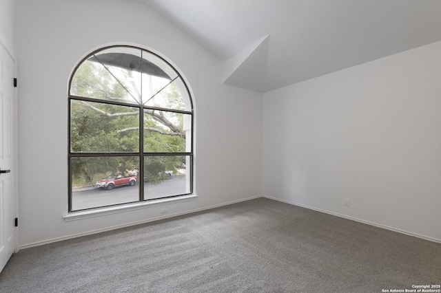 16726 Burning Glade, San Antonio, TX 78247 - carpeted empty room featuring healthy amount of natural light and lofted ceiling