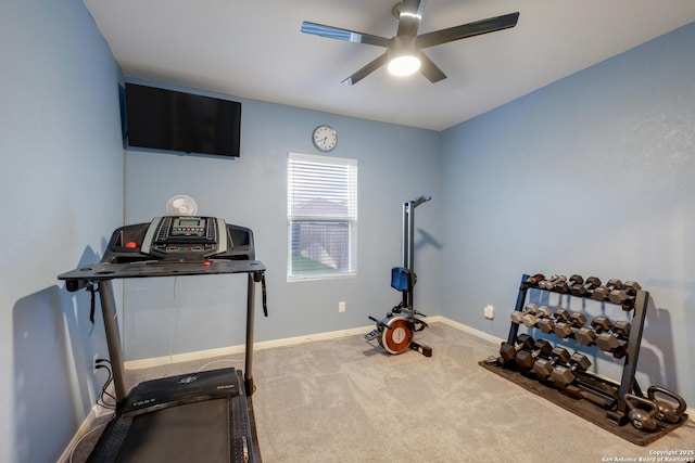 14383 Palm Rdg, San Antonio, TX 78253 - exercise area with a ceiling fan, carpet flooring, and baseboards