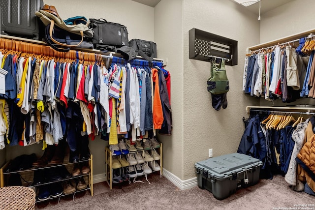 13706 Trailside, Live Oak, TX 78233 - spacious closet with carpet
