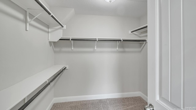 13154 Beals, San Antonio, TX 78253 - spacious closet with carpet