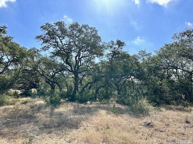 34676 Ansley Ridge Trl, Bulverde, TX 78163
