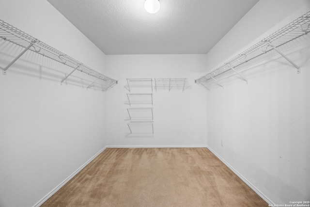 102 Ville Serene, San Antonio, TX 78253 - spacious closet with carpet