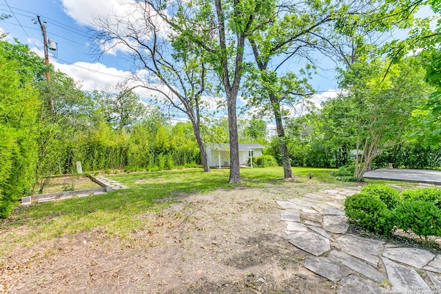 123 W Mandalay, San Antonio, TX 78212 - view of green lawn