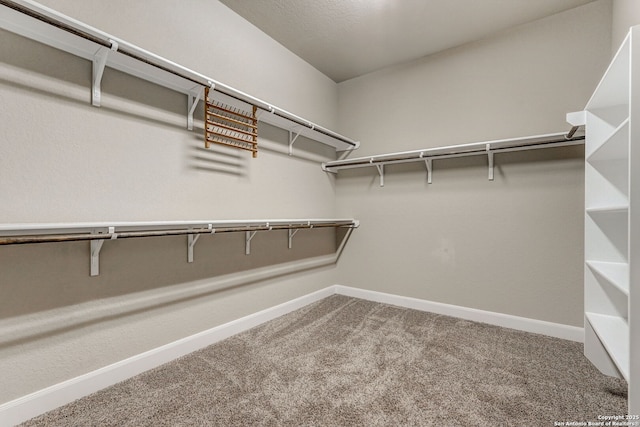 3419 Cherokee, San Antonio, TX 78253 - walk in closet featuring carpet floors