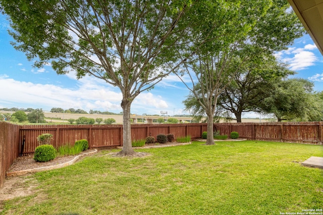 3136 San Miguel, New Braunfels, TX 78132 - view of yard