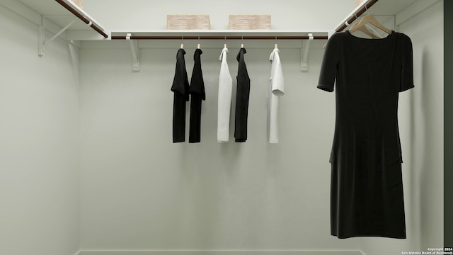 12003 Kite Bnd, San Antonio, TX 78221 - view of walk in closet