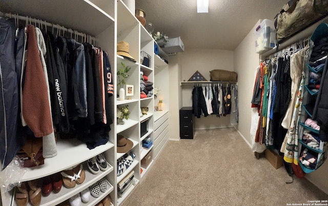 1227 Sun Spg, San Antonio, TX 78245 - walk in closet featuring carpet flooring