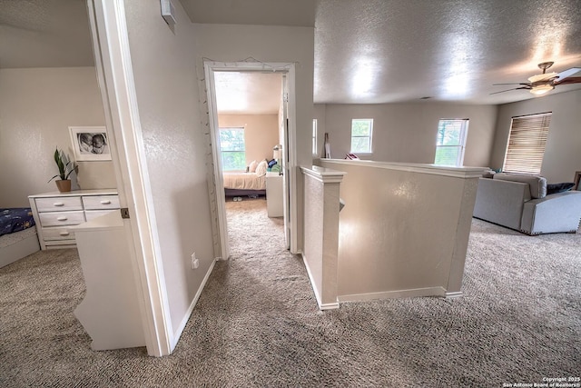 1227 Sun Spg, San Antonio, TX 78245 - hallway with light colored carpet, an upstairs landing, and baseboards