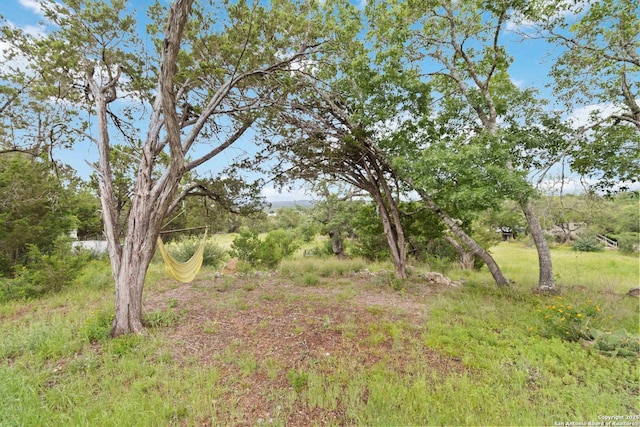111 Kendall Oaks, Boerne, TX 78006 - view of local wilderness