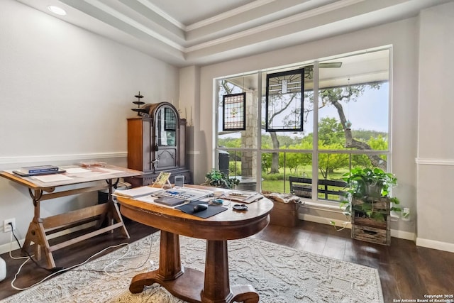 111 Kendall Oaks, Boerne, TX 78006 - office space featuring ornamental molding, dark wood finished floors, a raised ceiling, and baseboards
