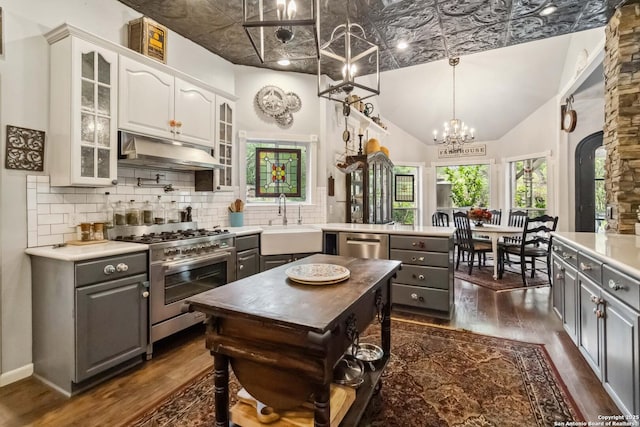 111 Kendall Oaks, Boerne, TX 78006 - kitchen with appliances with stainless steel finishes, a sink, under cabinet range hood, gray cabinets, and an ornate ceiling