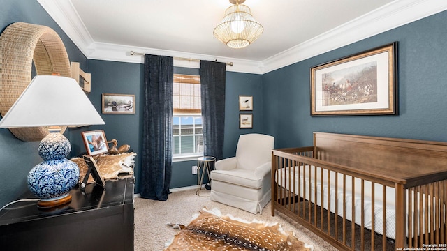 2527 Villa Rufina, San Antonio, TX 78259 - carpeted bedroom featuring ornamental molding and baseboards