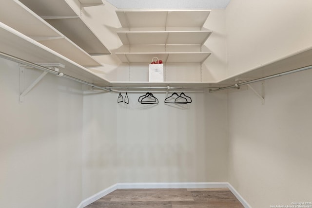 11302 Cedar Park, San Antonio, TX 78249 - walk in closet with wood finished floors