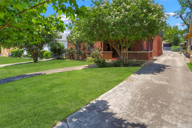 1919 W Magnolia Ave, San Antonio, TX 78201 - obstructed view of property with brick siding, a front yard, and driveway