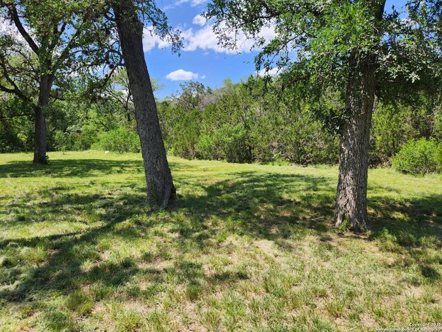 1047 Seco Pass Rd, Tarpley, TX 78883
