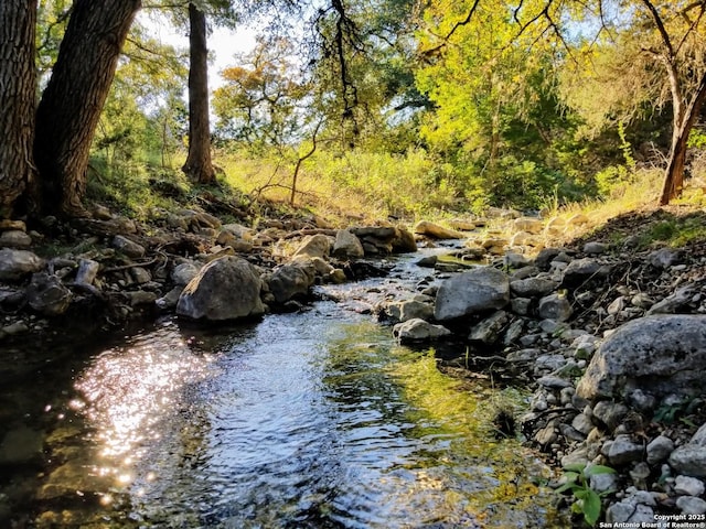 1047 Seco Pass Rd, Tarpley, TX 78883