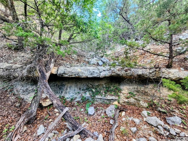 1047 Seco Pass Rd, Tarpley, TX 78883
