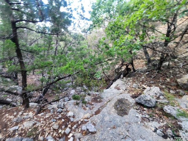 1047 Seco Pass Rd, Tarpley, TX 78883