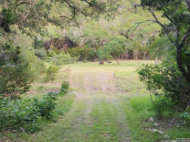 1047 Seco Pass Rd, Tarpley, TX 78883