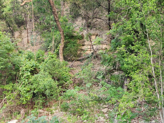 1047 Seco Pass Rd, Tarpley, TX 78883